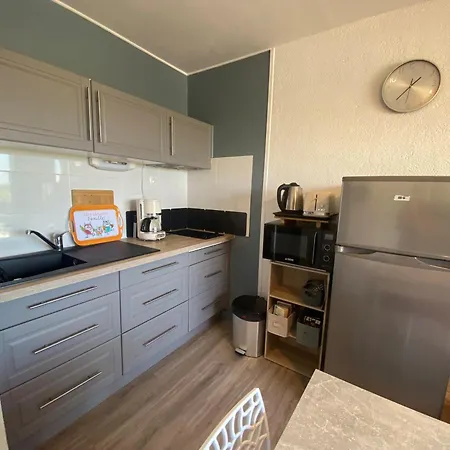 Location 20m², Animaux Admis A - Fr-1-503-188 Balaruc-les-Bains